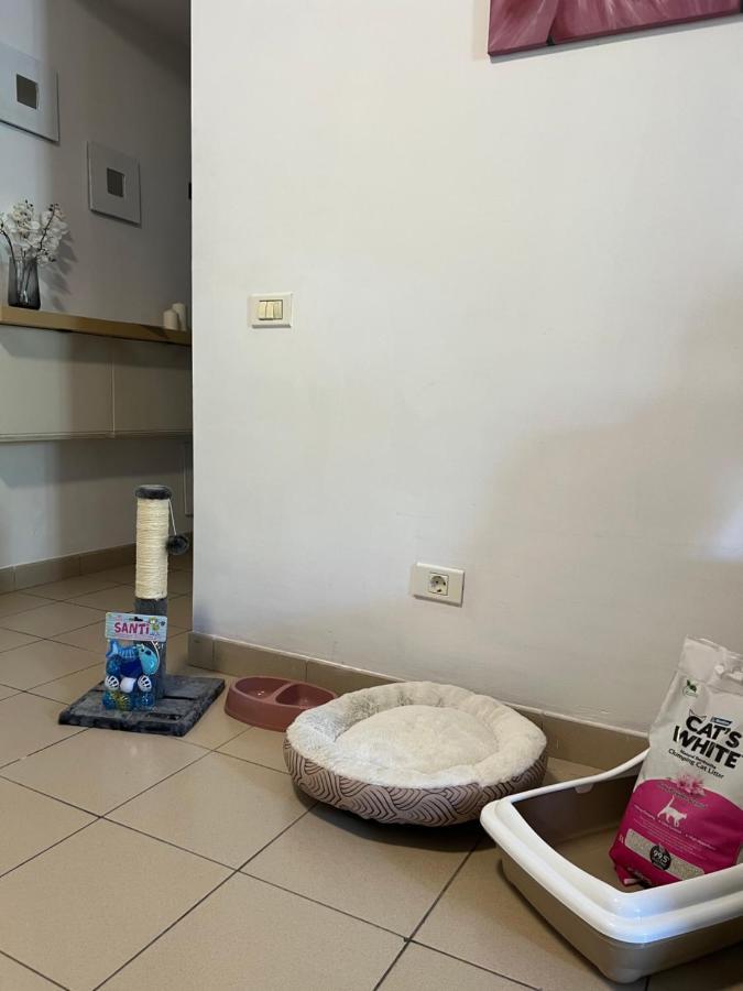 Appartement Lost Paradise